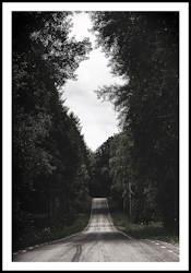 ”Forest road”