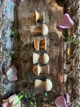 Aragonit brun (choklad kalcit) mushrooms