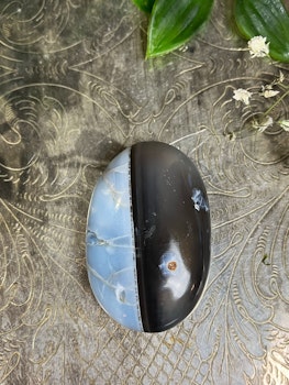 blå opal, Owyhee palmstone B