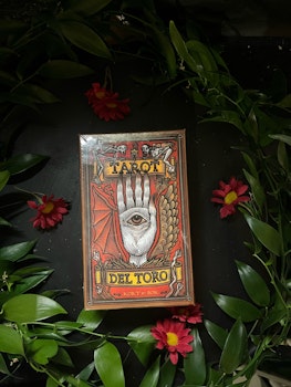 Tarot del Toro : tarotkort och bok