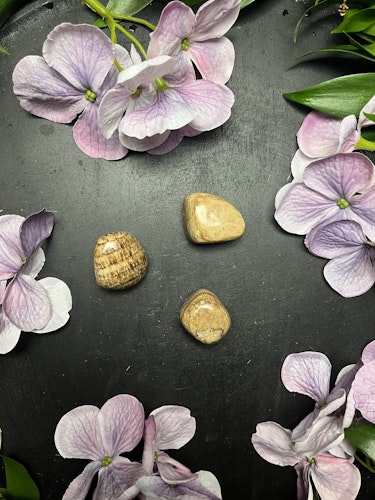 Aragonit, brun Cuddle Stones