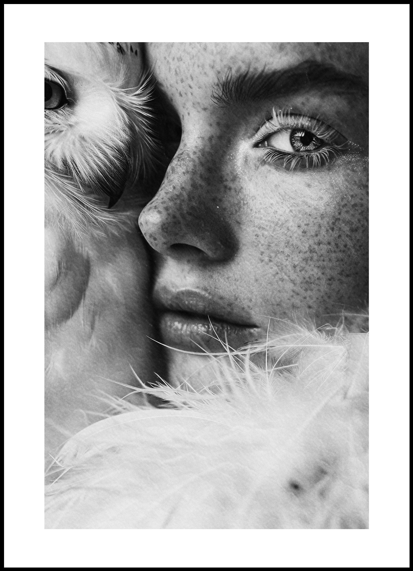 ”“Owl You Need”
