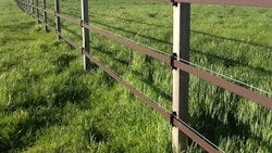 Säkert häststaket Safety fence 100m/  2 rader band