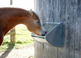 Slowfeeder / foderautomat för hästar