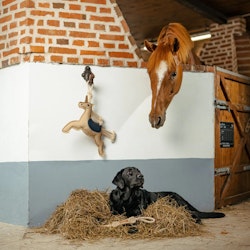 Hansbo sport Hästleksak "Enhörning" i jute