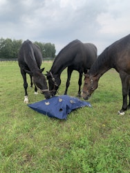 SaveHay Bag från GetRiding Navy