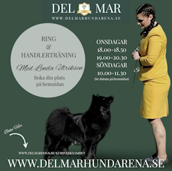 RINGTRÄNINGAR Onsdag 15/1