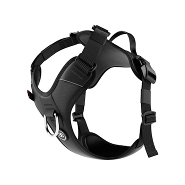 BULLY BILLOWS - HURRICANE HARNESS