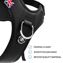 BULLY BILLOWS - HURRICANE HARNESS