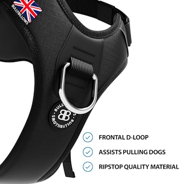 BULLY BILLOWS - HURRICANE HARNESS