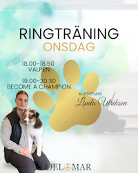 RINGTRÄNINGAR Onsdagen den 6/8