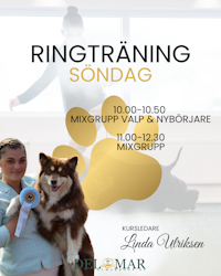 RINGTRÄNINGAR  Söndagen den17/8