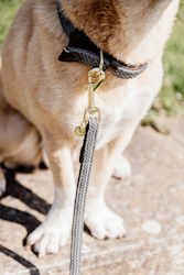 Kentucky Dogwear Hundkoppel Flätad nylon, Längd 120 cm