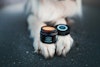 Always Your Friend Paws & Nose Balm Paw & Nose Salve