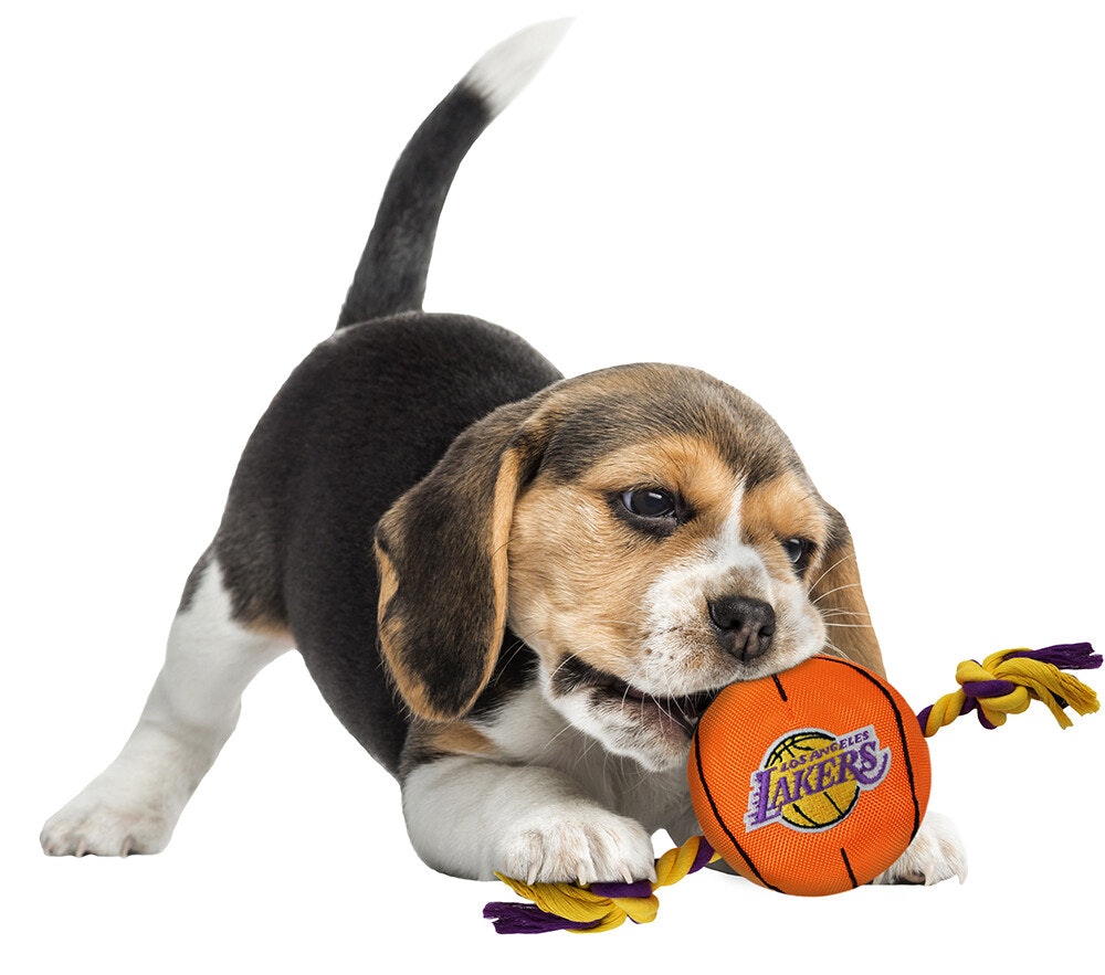 Sport Toys Los Angeles Lakers Basketball Dog Toy