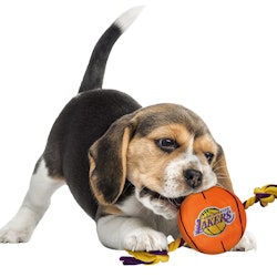 Sport Toys Los Angeles Lakers Basketball Dog Toy
