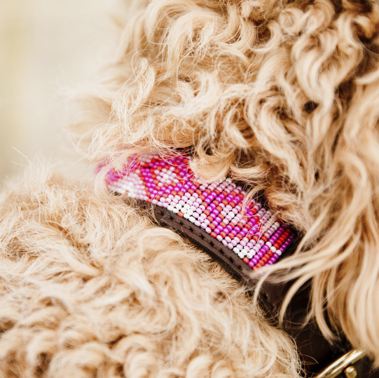 Kentucky Dog Collar Handmade Pearls Pink