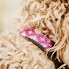 Kentucky Hundhalsband Handmade Pearls Pink
