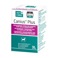 Canius Plus