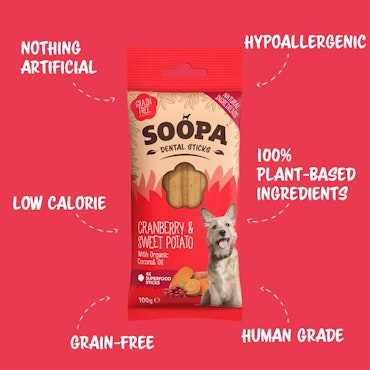 SOOPA Cranberry & Sweet Potato Dental Sticks