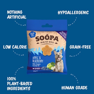 SOOPA Apple & Blueberry Healthy Bites