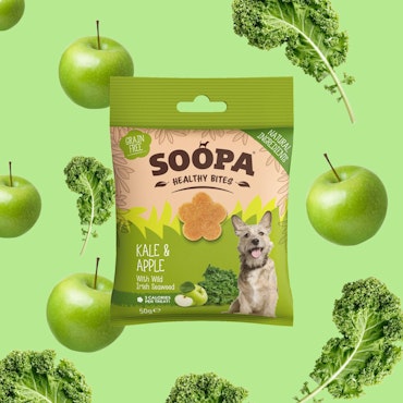 SOOPA Kale Och Apple Healthy Bites