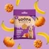 SOOPA Banana, Pumpkin & Flaxseed Healthy Bites for Senior Dogs