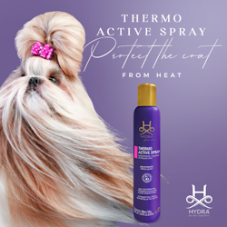 HYDRA PRO THERMO ACTIVE SPRAY 300 ml