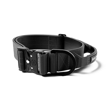 BULLY BILLOWS - COMBAT COLLAR 5cm