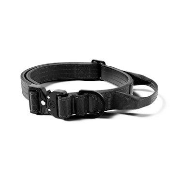 BULLY BILLOWS - COMBAT COLLAR 2,5cm