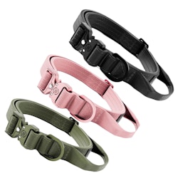 BULLY BILLOWS - COMBAT COLLAR 2,5cm