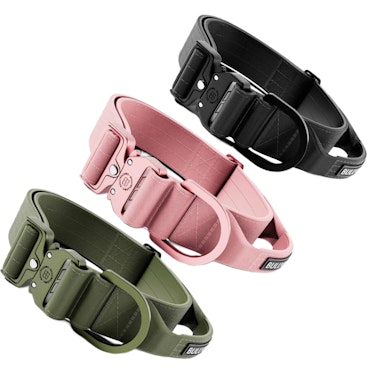 BULLY BILLOWS - COMBAT COLLAR 5cm