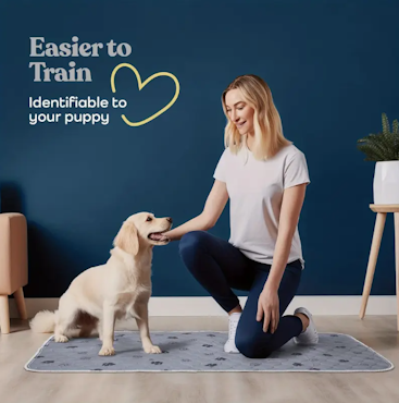 DEL MAR - Tvättbar Hundträningsmatta