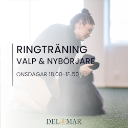 RINGTRÄNINGAR ONSDAGAR “Valpen”  (Grund & Valp/Junior träning)  18.00-18.50