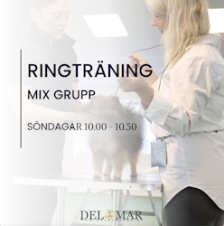 RINGTRÄNING SÖNDAGAR   “Mixgrupp” (Blandad grupp med erfarna & nybörjare) 10.00 -10.50