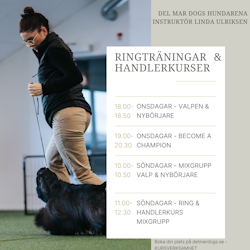 RINGTRÄNING SÖNDAGAR  “Mixgrupp” (Blandad grupp med erfarna & nybörjare) 10.00 -10.50