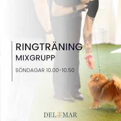 RINGTRÄNING SÖNDAGAR  “Mixgrupp” (Blandad grupp med erfarna & nybörjare) 10.00 -10.50