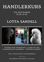 HANDLERKURS 2,5H FÖR LOTTA SANDELL 10.00 - 12.30 - 27e SEP