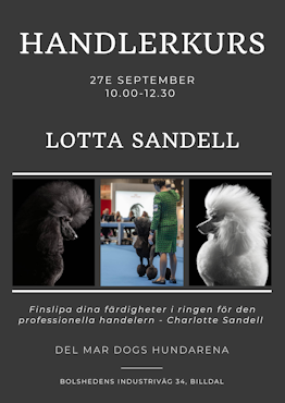 HANDLERKURS 2,5H FÖR LOTTA SANDELL 10.00 - 12.30 - 27e SEP
