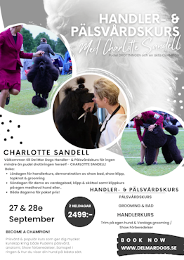 PAKETPRIS - 2 DAGARS HANDLER & PÄLSVÅRDSKURS FÖR LOTTA SANDELL - 27-28e SEP