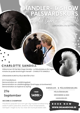 HANDLER & PÄLSVÅRDSKURS FÖR LOTTA SANDELL - 27e SEP 10.00-18.00