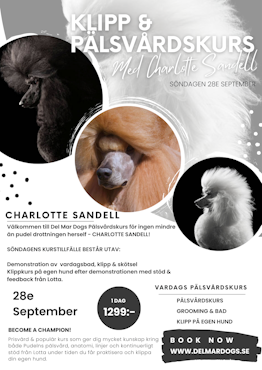 KLIPP & PÄLSVÅRDSKURS FÖR LOTTA SANDELL - 28e SEP 10.00-17.00