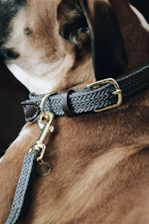 Kentucky Dogwear Flätat Nylon Halsband 32-38CM