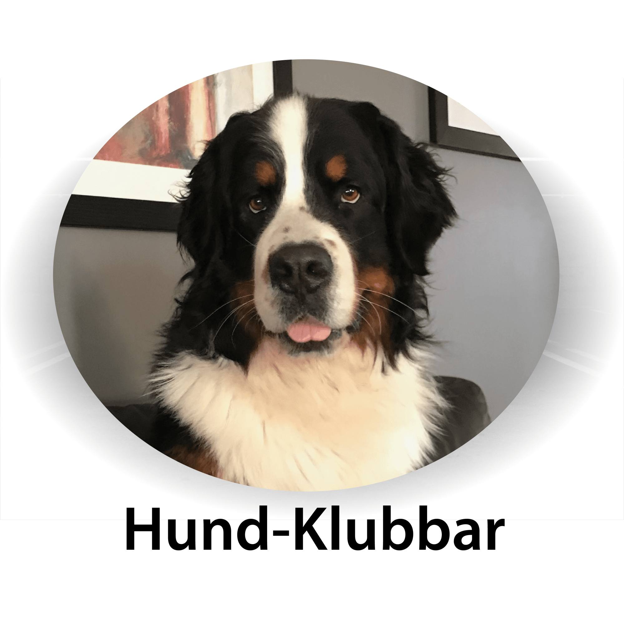 Hundsport - Thorsells Reklam