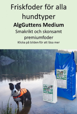 AlgGuttens Medium 20/10 15kg