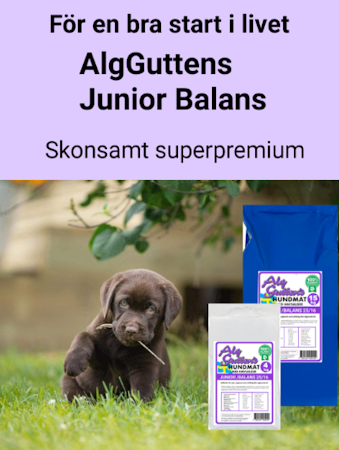 AlgGuttens Junior Balans 4kg