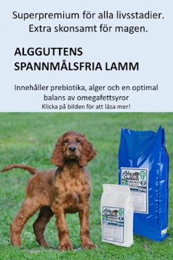 AlgGuttens Spannmålsfria Lamm 15kg