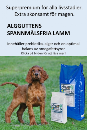 AlgGuttens Spannmålsfria Lamm 15kg