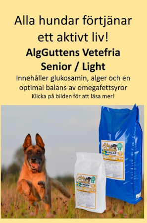 AlgGuttens Senior/Light 19/7 15kg