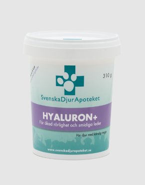 Hyaluron+ 310 gram